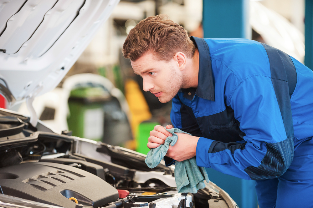 Aceite de la dirección asistida de coche a un precio económico