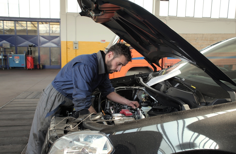 inspecciona el motor y el chasis mediante peritos profesionales